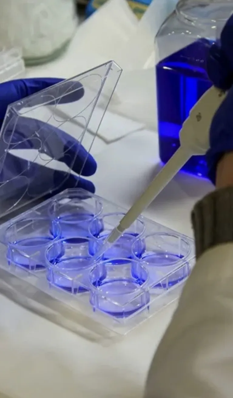Science and clinical preparation at Essencell